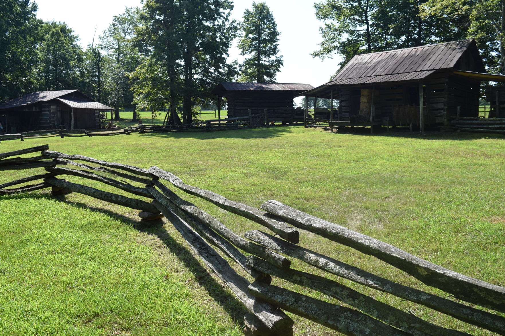 Hoppin aug. 5 (74).JPG